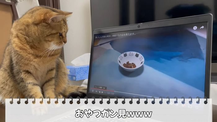 おやつをガン見するみにらくん