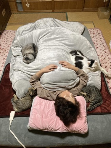 布団で寝る飼い主と猫