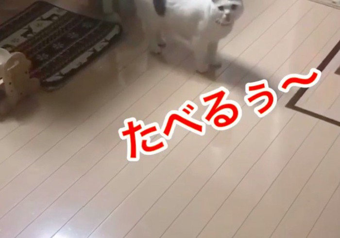 おしゃべり