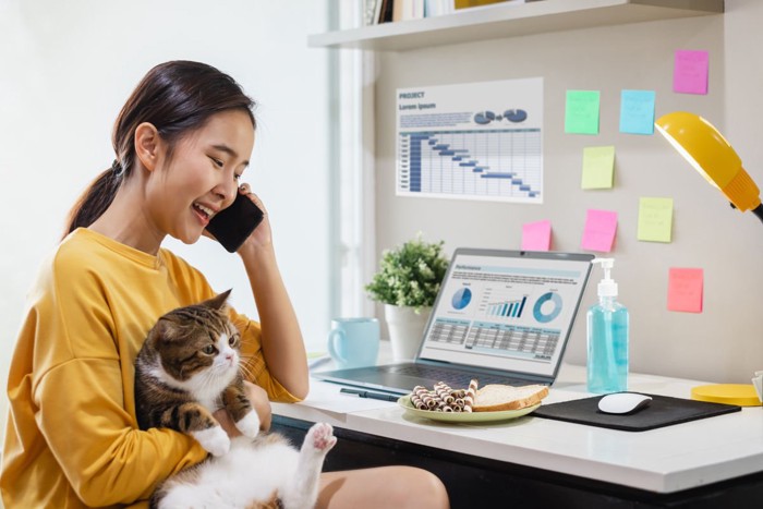 在宅勤務をしながら猫を抱く若い女性