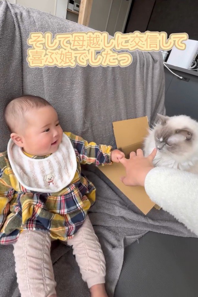 赤ちゃんと白い猫