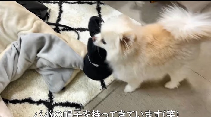 咥える犬