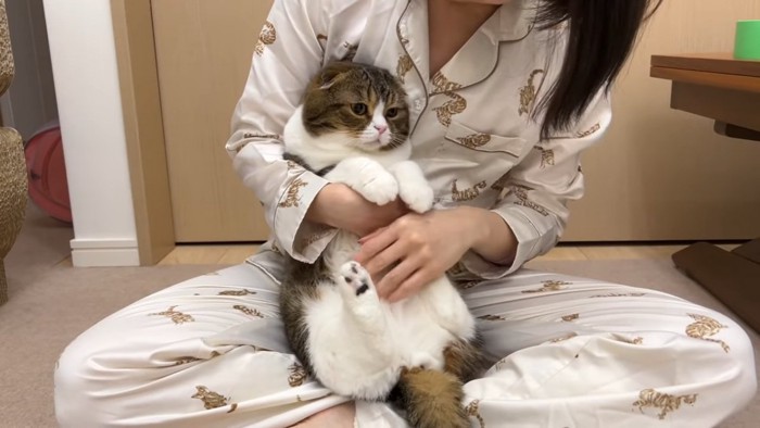 抱っこされる猫