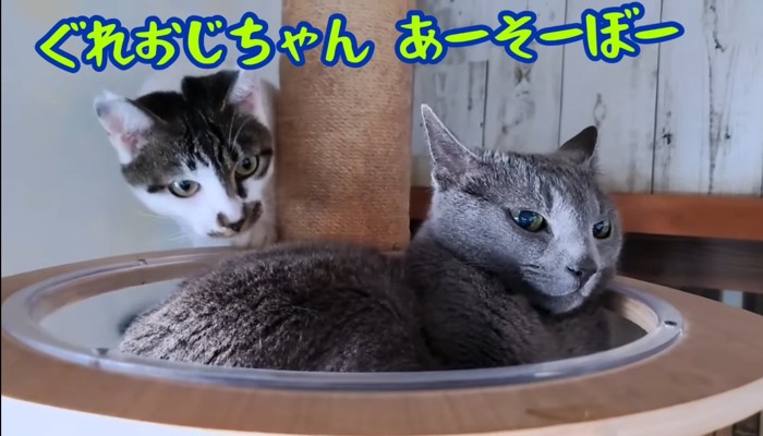 あーそーぼー