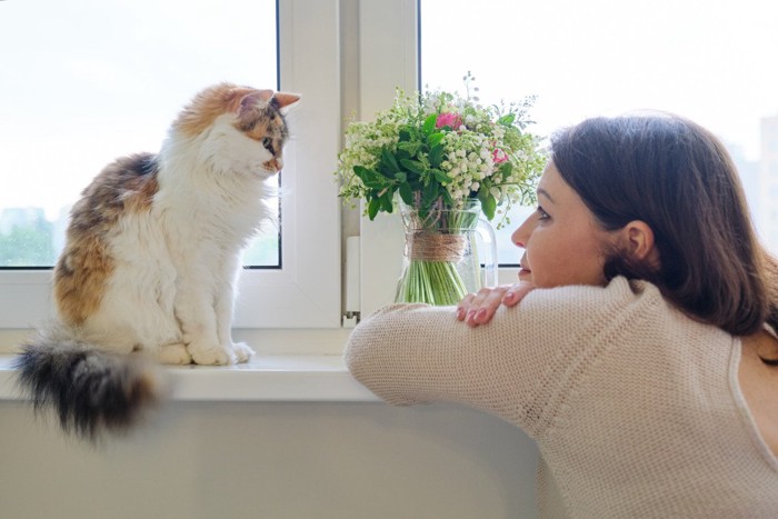 窓辺で猫と向き合う女性