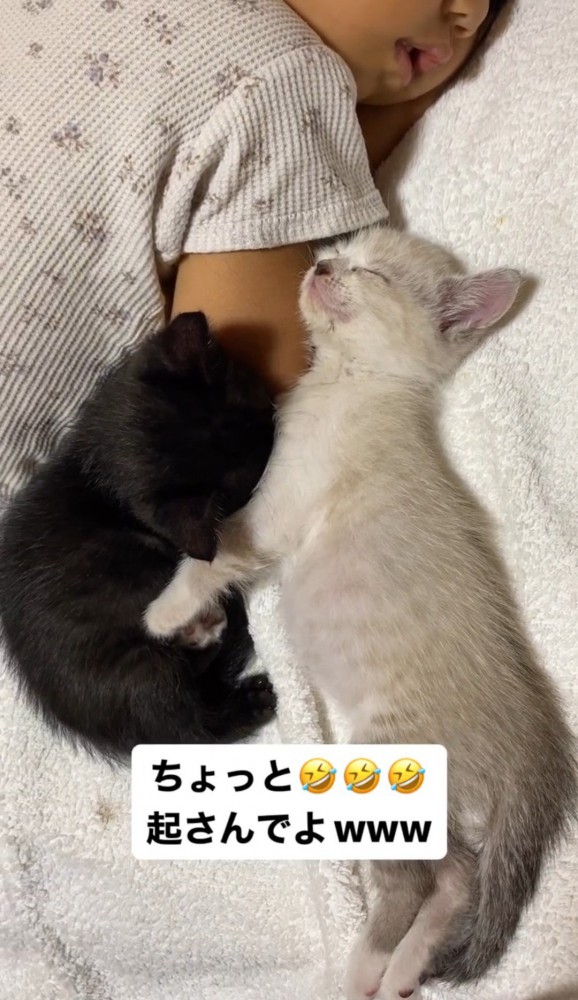 赤ちゃんに寄り添って寝る2匹の子猫2