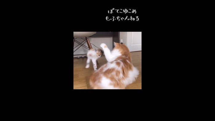 飛び跳ねるうなぎちゃん