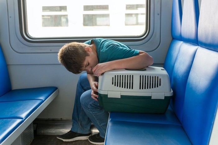 電車の中の猫