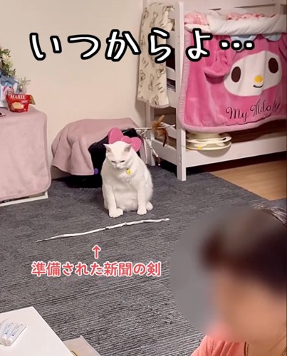 おもちゃを見つめる