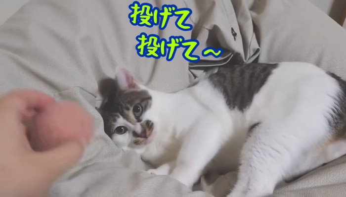 投げて〜