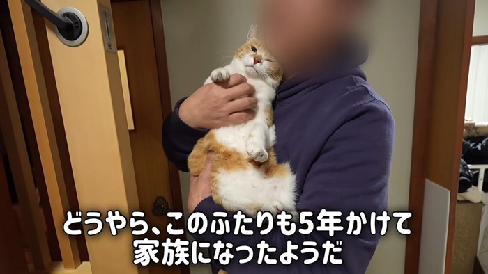 抱っこされる猫