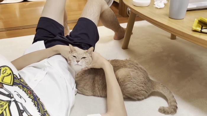 顔をなでなで