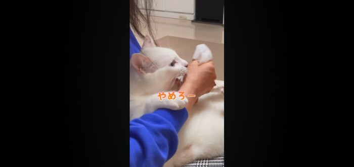 やめろー