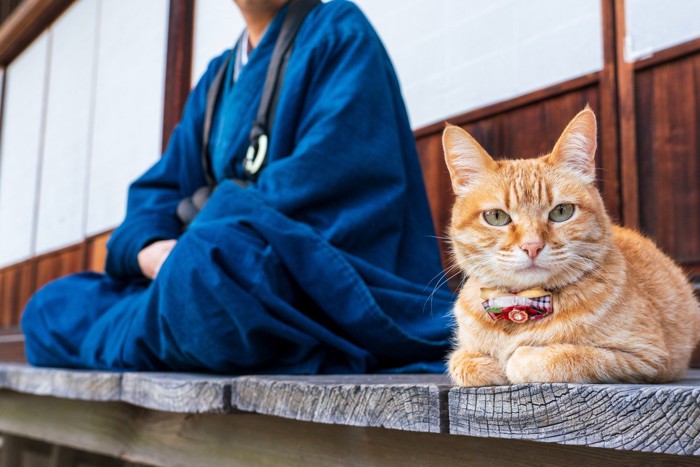 猫とお坊さん