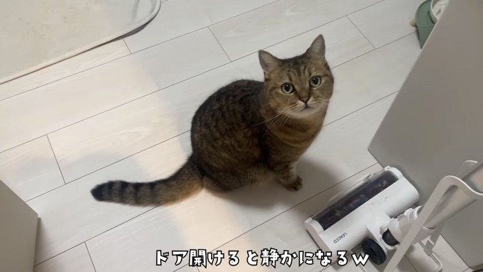 「ドア開けると静かになるw」のテロップ写真