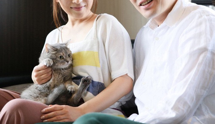 猫と男女