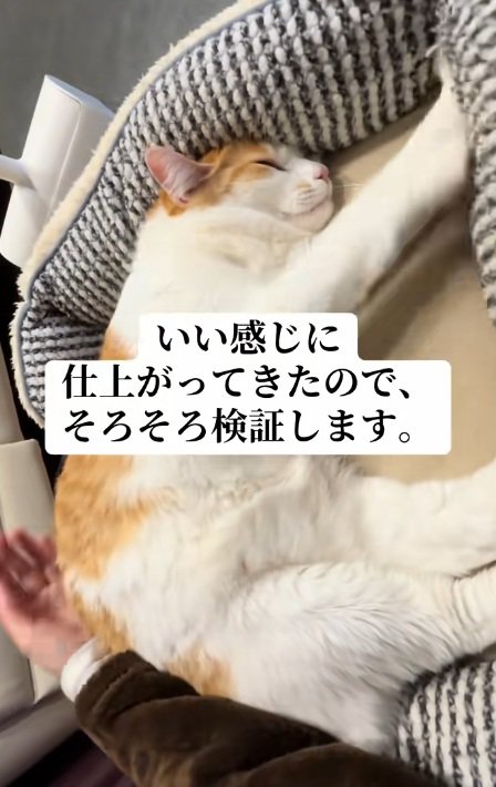 ベッドの中でふみふみしている猫
