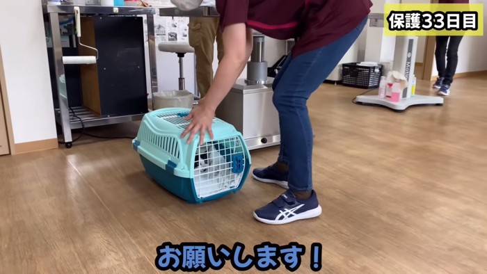 動物病院に到着した子猫ちゃん