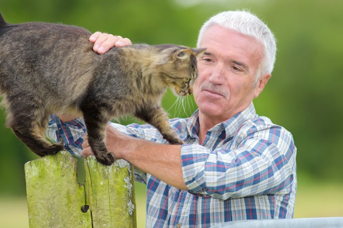 屋外で猫を抱っこしようとしている男性