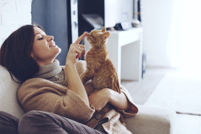 子猫を抱き上げて鼻を触る女性