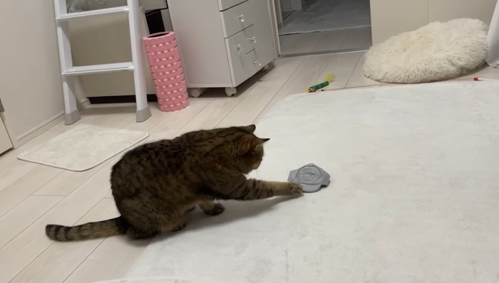 ちょんちょん