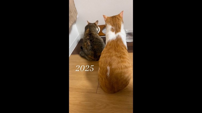 ふたりの後ろ姿