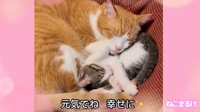 テロップ「元気でね 幸せに」