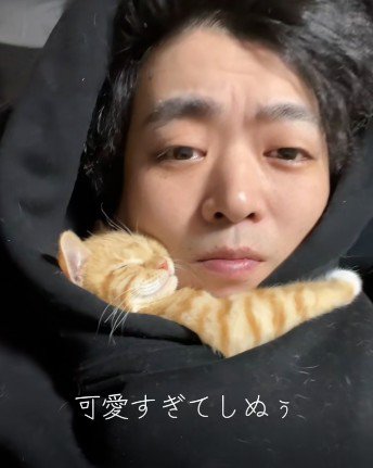 人に抱き着いて寝ている子猫