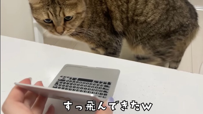 すっ飛んできた
