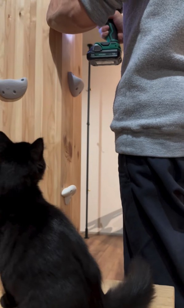 作業の真下をウロウロする子猫2