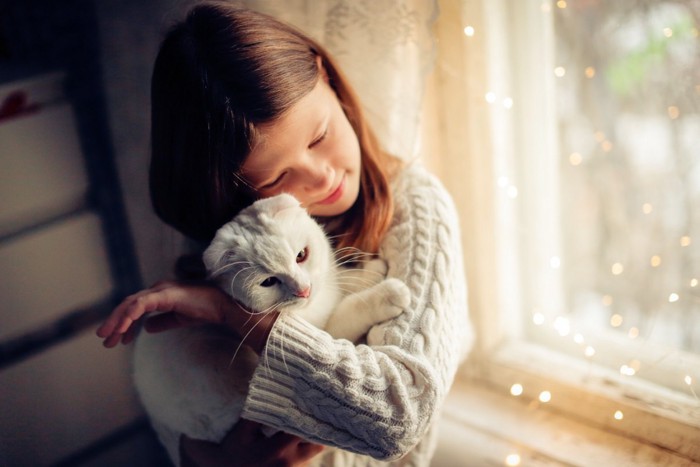 くっつく女の子と猫