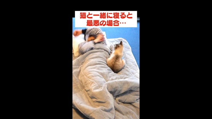 手を上げる飼い主さん