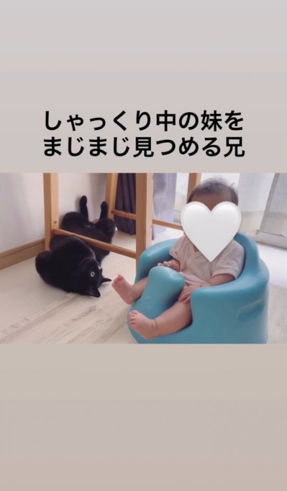 猫と子ども3