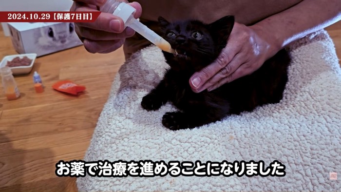 テロップ「あっ口内炎～」