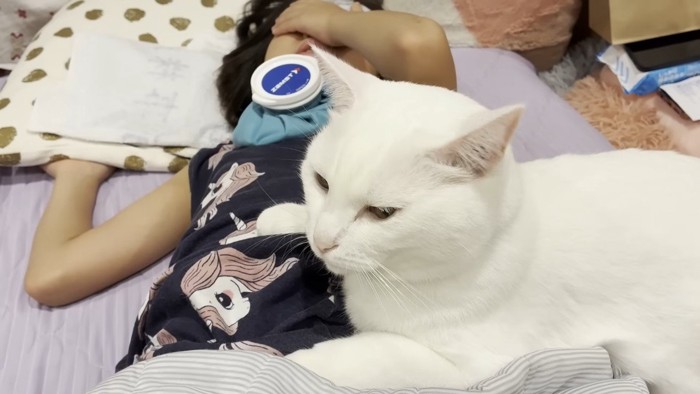 お腹の上に