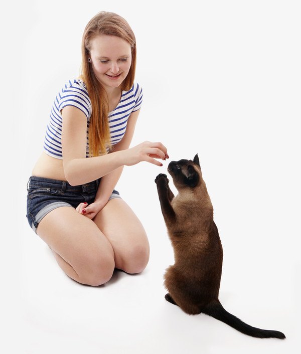 女性と猫