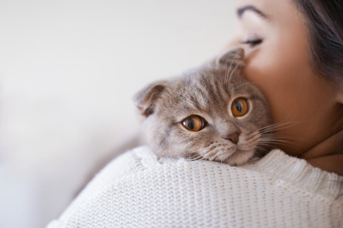 女性の方でリラックスする猫