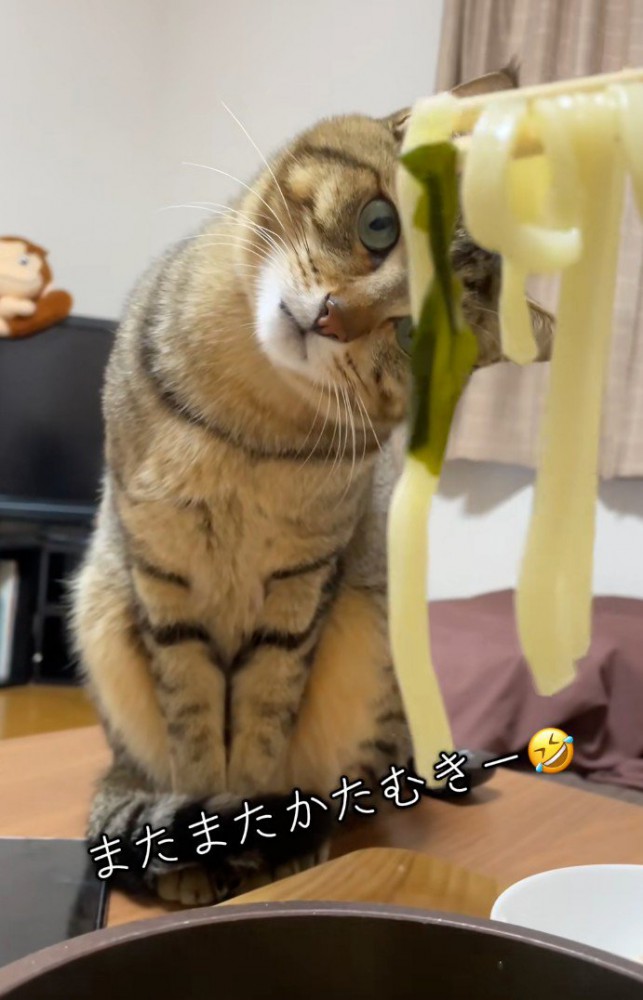 「またまたかたむき」と書かれた写真