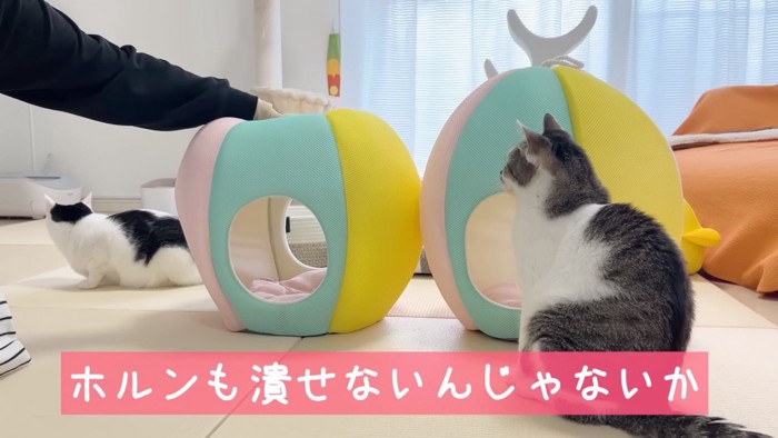 ベッドの丈夫さを確かめるママさん