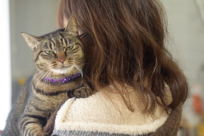 女性に抱かれて怪訝そうな猫