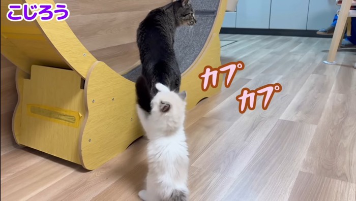 カプカプ