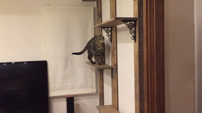 登り中
