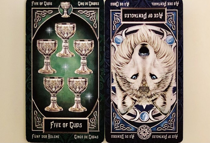 FIVEofCUPS/ACEofPENTACLS