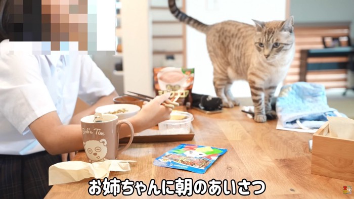 テロップ「お姉ちゃんに朝の~」