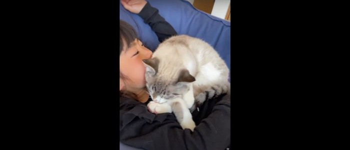 女の子の上に乗る猫