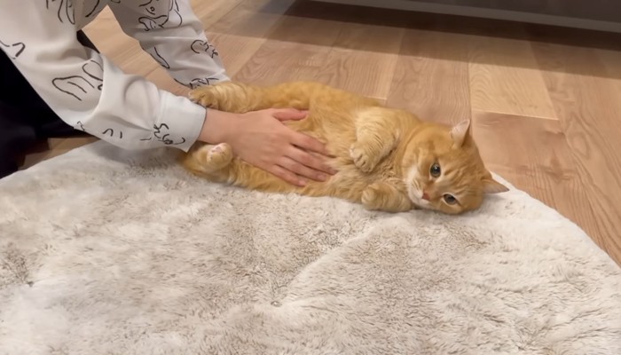 ごろん