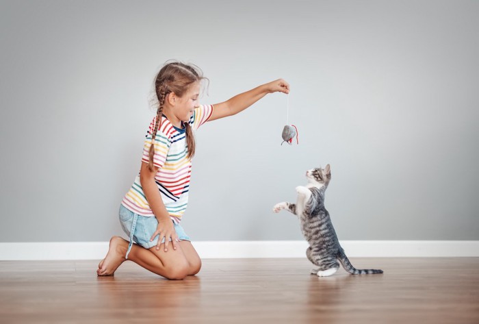 おもちゃで遊ぶ少女と子猫