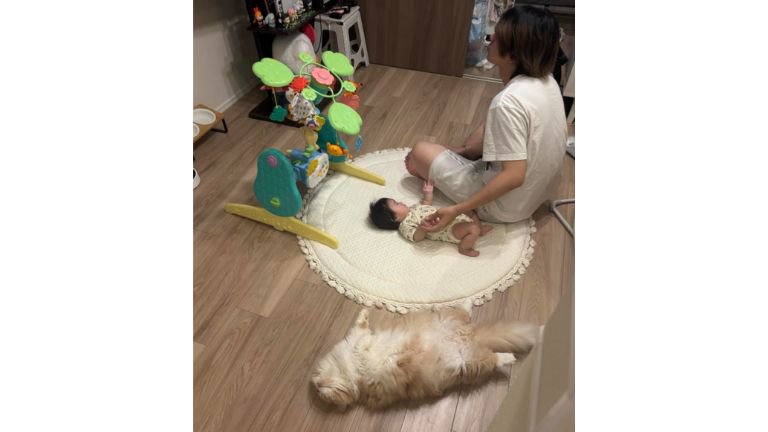 赤ちゃんと男性と猫