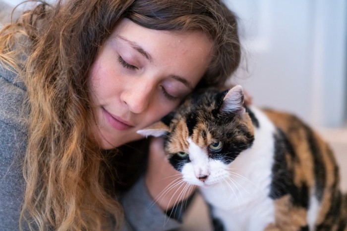 女性に頭を擦り付ける猫