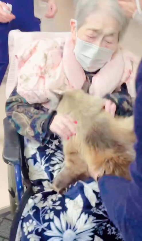 おばあちゃんの膝の上に乗せられている猫の後ろ姿